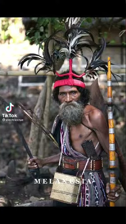 Papua , Maluku , NTT ( Ras Melanesia)