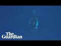 Neobičan kit snimljen u Australiji (VIDEO)