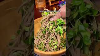 香椿苗拌豆腐丝，家常做法超美味！
