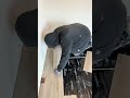 #flooring #construction #handyman #fyp #viralvideo