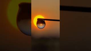 WATER 👉DROP PHOTOGRAPHY💡HOW TO USE WATER DROPS🔥 #water #photography #ytshorts #ideas #youtubeshorts