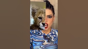 Trying twin animal filter 😂 #tiktok #funny #filter #tutorial #ytshorts