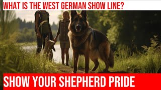 Explore The West German Show Line German Shepherd History & Characteristics