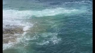 ocean man  - ween (cover by sav.brown4 TT)