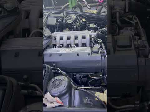 BMW M51,41 TDS