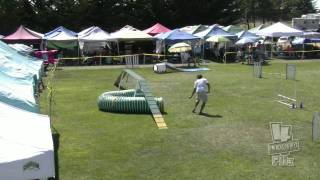 DOGS: Dobby   Sun Grand Prix Rd 2  Bay Team USDAA Regionals
