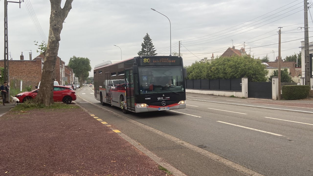 Des bus dans le centre de Lille