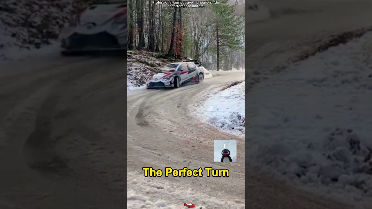 Best moments in rally  #wrc #rally #foryou #fyp #race #ford #toyota