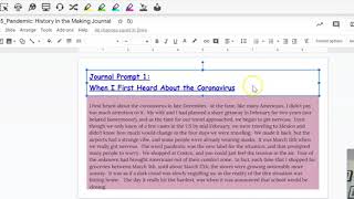Pandemic Journal