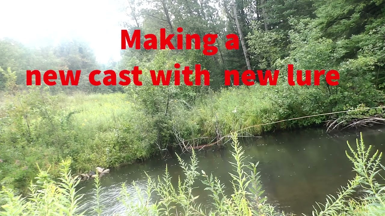 Pine River fishing announcement