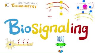 Biosignaling | G-proteins, ligand-gated, voltage-gated channels, JAK-STAT | Biochemistry