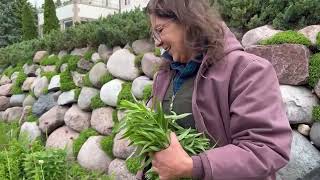 We're Gardening Here Today!  Episode #244