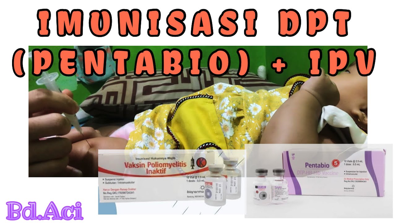 #91 IMUNISASI PENTABIO 3 + IPV - YouTube