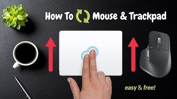 How To Sync Reverse Mouse and Trackpad Scroll Direction on Mac