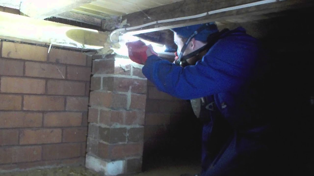 Termite Mudding Atop Brick Pier / Ant Cap in Subfloor YouTube