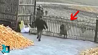 Это Нужно Видеть! Редкие Кадры с Животными, Которые Взорвали Интернет!