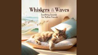 Catnap Symphony