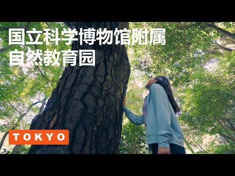 东京 国立科学博物馆附属自然教育园 官方视频