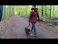 EN|Dog Behavior consultation EN|Dog Behavior consultation
