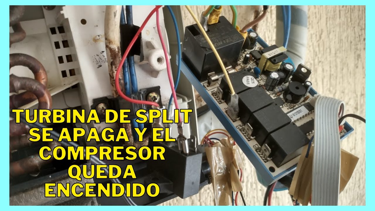 mostrador Judías verdes Húmedo compresor se queda encendido compañera de clases suficiente Sofocar