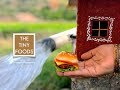 Chicken Burger | McDonald Style | E39 | The Tiny Foods