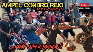 KERAMAT! ACR LIONBOYS AMPEL CONDRO REJO | situasi MENCEKAM saat DEMIT merasuk KALAP BRINGAS! Jabung