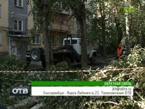 Кто имеет право спилить деревья во дворе? (Всё о ЖКХ, ОТВ, Екатеринбург, 7.08.13)
