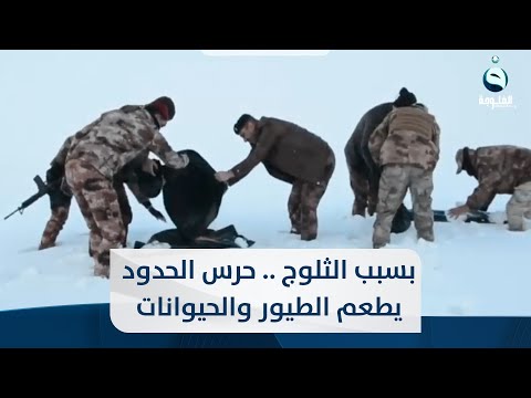 بسبب الثلوج حرس الحدود يوزع الطعام للطيور والحيوانات