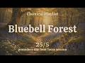 Bluebell Forest 💙 Pomodoro Timer 25/5 | 1 Hour Study Session | Cottagecore Classical Music