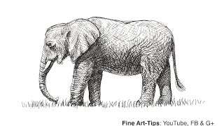 How to Draw an African Elephant With Markers