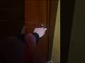 La BAMBOLA DI SQUID GAME STA DORMENDO SUL PAVIMENTO DI CASA MIA! #giox97 #shorts #squidgame #horror