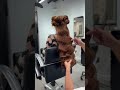 Got My Hair Done In NYC By The Incredible Mustafa Avci Hairstyle Got My Hair Done In NYC By The Incredible Mustafa Avci Hairstyle