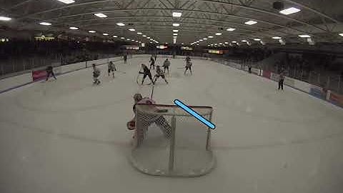 Goalie Video Analysis When to use the RVH