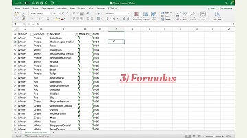 4.4 Basic Data Parsing in Excel | If And Formula