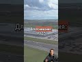 ИИ на ЕГЭ и кибердружины? Мир катится всё быстрее... #автоматизация #бизнес #ии