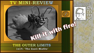 TV Mini-Review: THE OUTER LIMITS - Bugs-a-Million