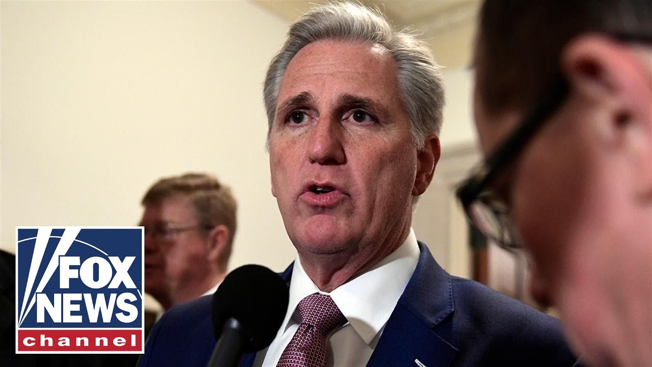 GOP elects Kevin McCarthy as House minority leader