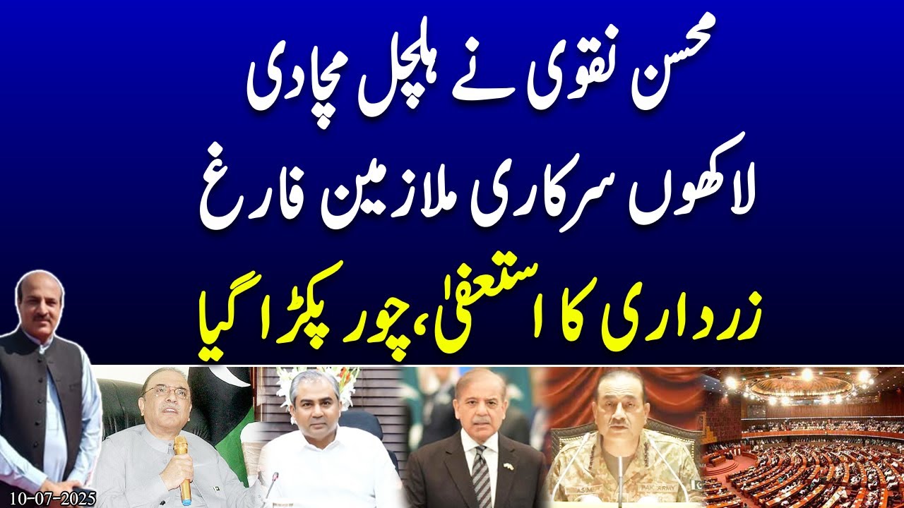 "Mohsin Naqvi's Political Earthquake| Govt Employees Sacked!" Mass Firings, Zardari Resigns,