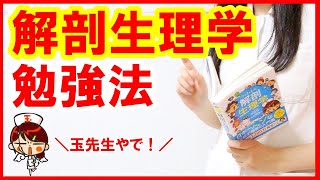 【看護の勉強法】国家試験の解剖生理学対策はこれだ！
