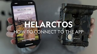 How to Connect the Helarctos Camera to the App | NatureSpy Walk-through screenshot 5