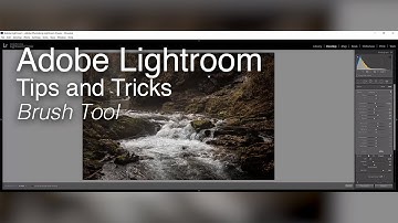 Wex Tips and Tricks | Adobe Lightroom - Brush Tool