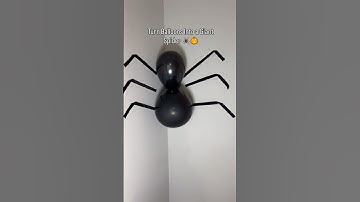 DIY Halloween Spider 🕷️ Easy spooky balloon decor 👻 #HalloweenDIY #SpookySeason #DIYCrafts