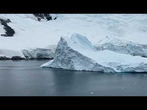 Glacier Come Alive