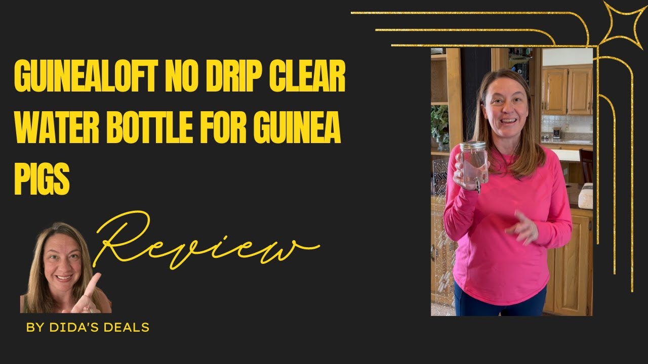 GuineaLoft No Drip Clear Water Bottle for Guinea Pig Loft
