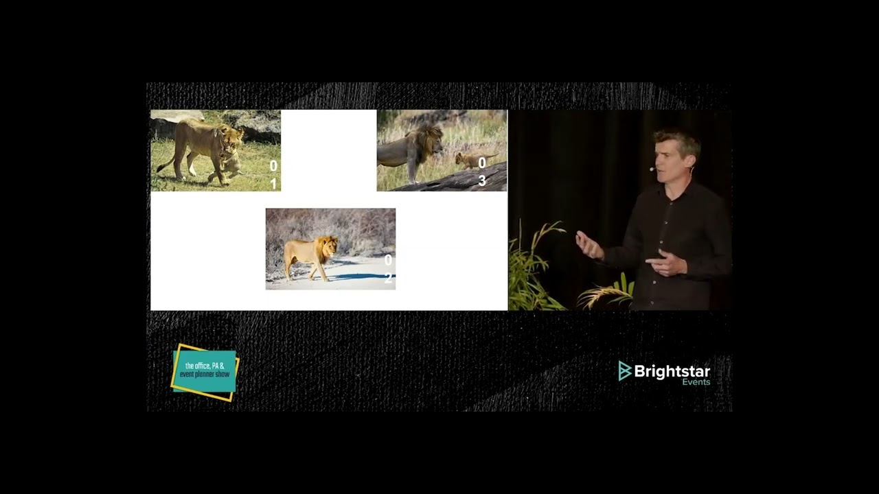 Robert Tighe - Origin Stories - Storytelling, Leadership, Sales & Marketing