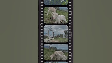 Bức hình tuyệt vời cùng với thanh xuân tại view triệu đô của Đồi Cừu Đà Nẵng