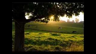 Aliukai - Žemaičių žemė 1985