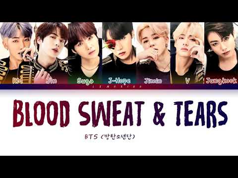 BTS - 'BLOOD SWEAT & TEARS' - LYRICS(COLOR CODED)