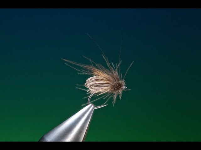 Fly Tying - Wee Gold Fella (Wet Fly) 