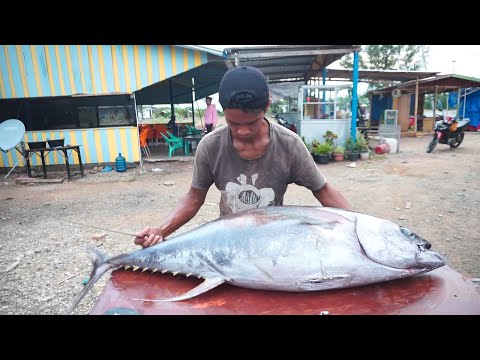 (AGE 16) EXPERT CUTTING SKILL  GIANT BLUEFIN TUNA FISH